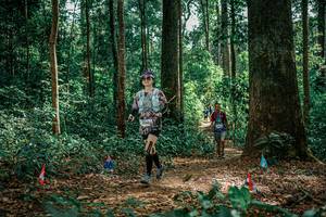 BIB: 
                            <button type="button" onclick="openModal(26135583)" class="btn btn-primary btn-sm float-right btn-popup" data-toggle="modal" data-target=".modal-high-quality">
                        <i class="fas fa-shopping-cart"></i> Add to Cart
                    </button>
                                            <button type="button" onclick="isThisMe(26135583, true)" class="btn btn-success btn-sm float-right btn-popup btn-isme hidden" data-toggle="tooltip" data-placement="bottom" title="นี่คือรูปของคุณใช่ไหม คลิกที่นี่เพื่อเอาเข้าอัลบั้ม">
                        <i class="fas fa-plus"></i> Add to album
                    </button>
                    <button type="button" onclick="isThisMe(26135583, false)" class="btn btn-warning btn-sm float-right btn-popup btn-isnotme hidden">
                        <i class="fas fa-ban"></i> Remove from album
                    </button>